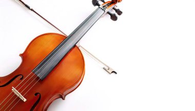 Violoncello, cello or upright bass is a middle pitched bowed string instrument of the violin family. Its four strings are usually tuned in perfect fifths: from low to high, C2, G2, D3 and A3. On white clipart