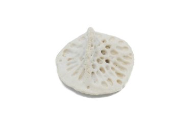 Bir Amerikan timsahı olan A. Missipiensis derisinin içinde kemik tabakası, osteoderm ya da skaler olarak adlandırılır, deriyi delmeyi zorlaştırır ve pullara benzer. Beyazda izole edilmiş