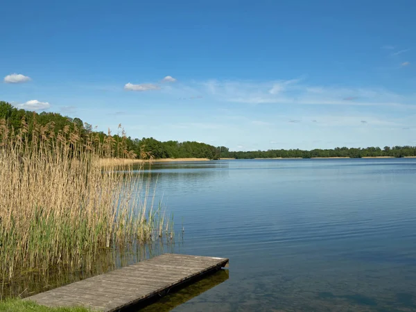 Summer Idyll Platlinsee Mecklenburg Lake District Germany — Stock fotografie