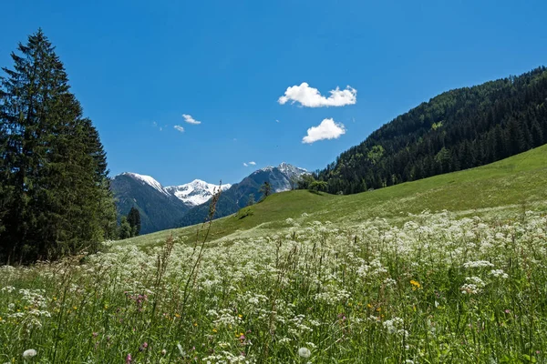 Picturesque landscape in the Alps of the hiking region Val Passiria in South Tyrol , Italy