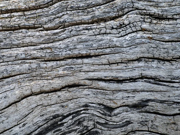 古い腐った木の構造のクローズアップを背景に — ストック写真