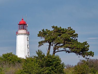 Deniz feneri Dornbusch Adası Hiddensee, Almanya