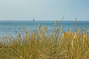 Kum tepelerinden Baltık Denizi 'ndeki bir yelkenliye bakın.