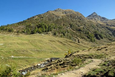 Landscape in the Passeier Valley near the village of Pfelders in the Italian Alps, South Tyrol clipart