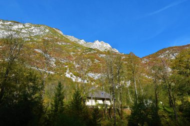 Slovenya 'nın başkenti Primorska' nın Trenta vadisinde yer alan Soca köyünün yukarısındaki Bavski Grintavec Dağı yamaçlarını kaplayan kırmızı ve yeşil renkli sonbahar ormanı