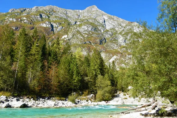 Vista Montaña Bavski Grintavec Valle Trenta Primorska Eslovenia Con Río —  Fotos de Stock
