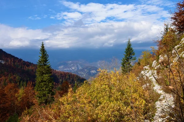 ジュリアン アルプ ゴレンスカ スロベニアのクナ プリストへのハイキングコース秋には ボヒンジの上の山々の景色が雲を覆いました — ストック写真