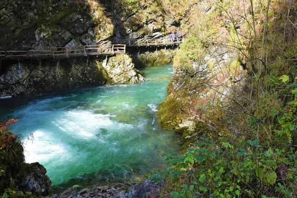 Řeka Radovna Protéká Vintgarskou Roklinou Nedaleko Bled Gorenjské Slovinsko — Stock fotografie