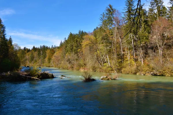 Řeka Sáva Pestrobarevným Smíšeným Širokým Listovým Jehličnatým Podzimním Lesem Gorenjské — Stock fotografie