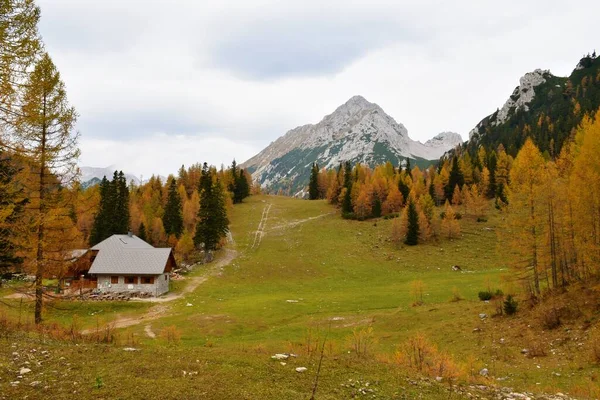 Горная Хижина Зеленнице Позади Горы Вртака Альпийский Луг Окруженный Осенью — стоковое фото