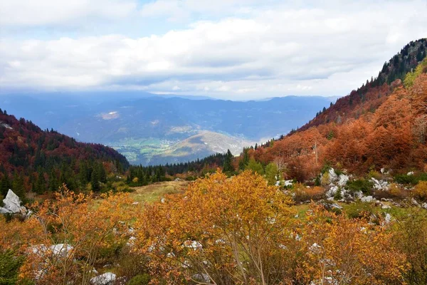 Vista Valle Bajo Crna Prst Los Alpes Julianos Parque Nacional —  Fotos de Stock