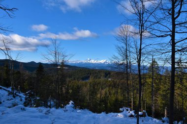 Slovenya 'nın Gorenjska kentindeki Kozalaklı Orman' dan Triglav Dağı 'na kadar uzanan kar manzarası Jelovica yaylasını kapladı