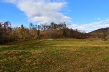 Slovenya 'da Cusperk yakınlarında orman kaplı bir tepesi olan çayır.