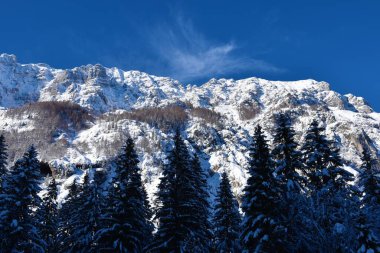 Slovenya 'nın Gorenjska kentinde kışın Tamar Vadisi' nin yukarısındaki dağlar karla kaplıydı.