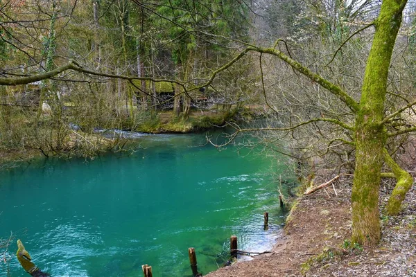 Sungai Ljubljanica Mocilnik Dekat Vrhnika Notranjska Slovenia — Stok Foto