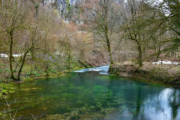 Άνοιξη Του Ποταμού Ljubljanica Στο Mocilnik Κοντά Στη Vrhnika Στη — Φωτογραφία Αρχείου