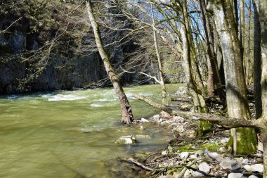 Slovenya 'nın Primorska kentinde Divaca ve Matavun yakınlarındaki Reka nehir kanyonu