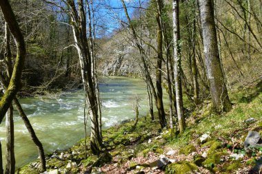 Slovenya 'nın Primorska kentinde Skocjan ve Matavun yakınlarındaki bir kanyondan Reka nehri akıyor