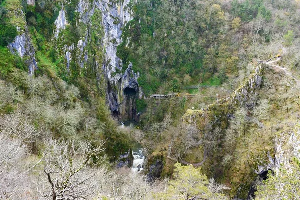 Veduta Della Dolina Nelle Grotte Skocjan Con Fiume Reka Vicino — Foto Stock
