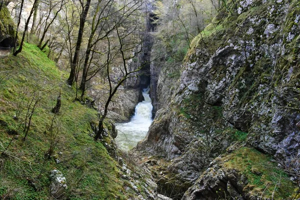 Pohled Řeku Reku Tekoucí Doliny Jeskyně Skočianských Jeskyních Primorské Slovinsko — Stock fotografie