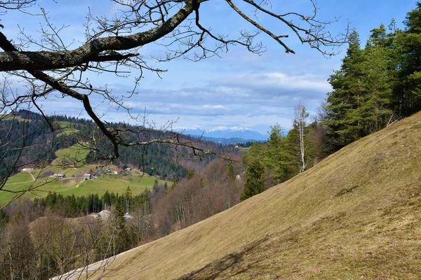 Dolina Poniżej Tosc Wzgórza Polhov Gradec Wzgórza Słoweńskich Prealpach Gospodarstwem — Zdjęcie stockowe