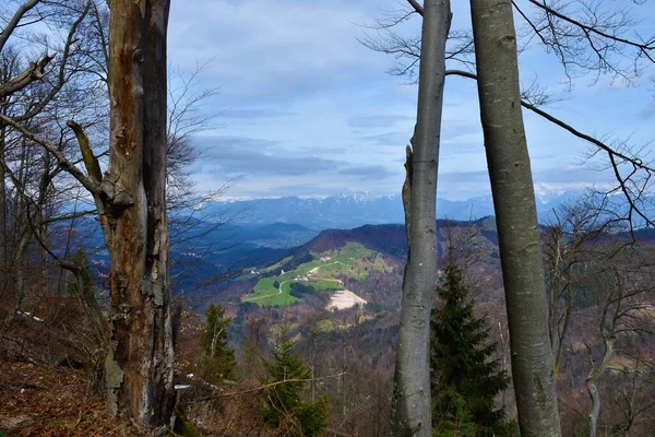 Widok Wzgórza Słoweńskich Prealpach Gospodarstwami Lasem Pokrywającym Stoki Góry Karavanke — Zdjęcie stockowe
