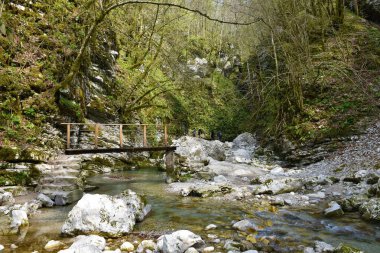 Slovenya 'nın Kobarid kenti yakınlarındaki Kozjak şelalesine giden yol, Kozjak deresinin üzerindeki ahşap bir köprüye çıkıyor.