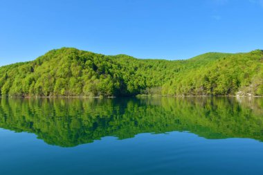 Hırvatistan 'ın Lika-Senj ilçesindeki Plitvice gölündeki Kozjak Gölü üzerindeki orman kaplı tepeler, suda bir yansımayla birlikte ulusal park