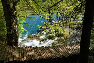 Hırvatistan 'ın Lika-Senj ilçesindeki Plitvice gölleri ulusal parkındaki bir göle akan bir dere üzerindeki ahşap yürüyüş yolu