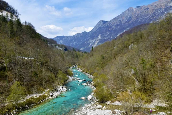 Naturskön Utsikt Över Floden Soca Nära Kobarid Slovenien Med Polovniks — Stockfoto