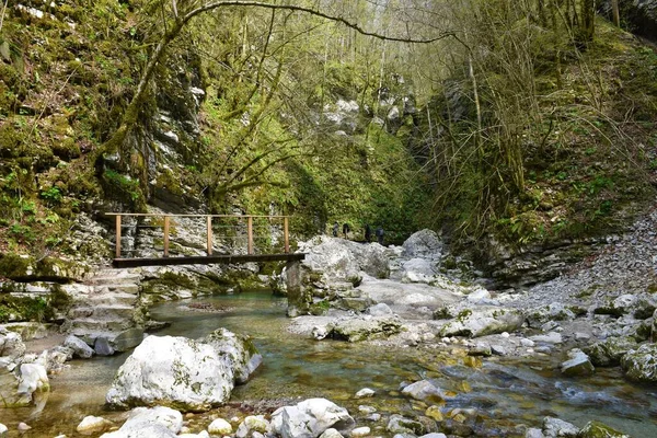 Cesta Vedoucí Vodopádu Kozjak Kobaridu Slovinsku Dřevěným Mostem Přes Potok — Stock fotografie