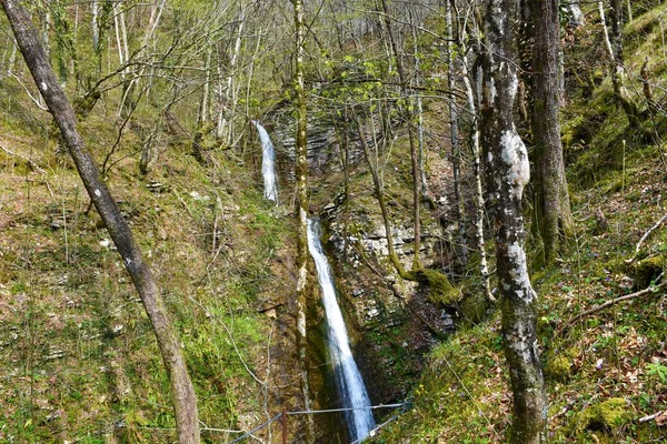 斯多普尼克溪流瀑布在斯洛文尼亚Dreznica附近的Koseska Korita附近 春天流经森林 — 图库照片