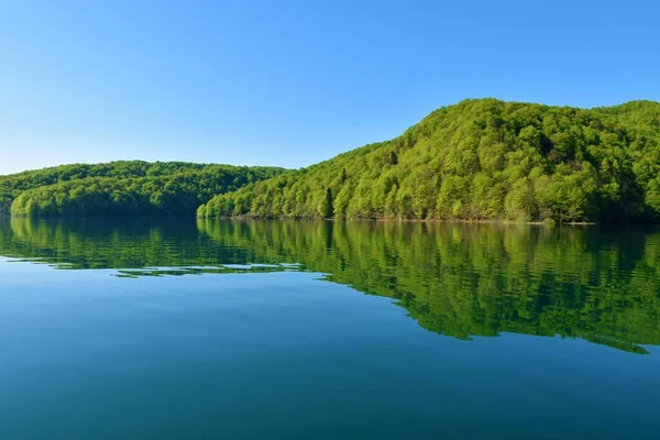 Hırvatistan 'ın Lika-Senj ilçesindeki Plitvice göllerinde Kozjak Gölü üzerindeki orman kaplı tepeler ve suda yansıma