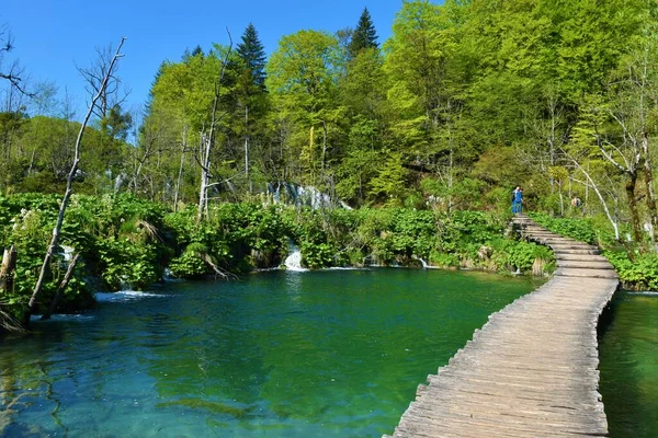 Wooden Pathway Leading Lake Plitvice Lakes National Park Lika Senj — Stock Photo, Image
