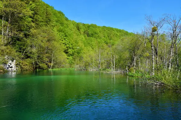 Вид Озеро Градинско Езеро Плитвицких Озерах Лика Сеньском Уезде Хорватия — стоковое фото