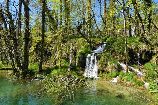 流入克罗地亚Lika Senj县Plitvice湖的瀑布 — 图库照片