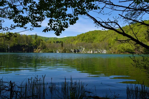 Widok Jezioro Galovac Parku Narodowym Jeziora Plitwickie Lika Senj Powiat — Zdjęcie stockowe