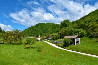 Slovenya 'nın Primorska kentindeki Tolmin yakınlarındaki Ljubinj köyünün önünde bir çayır ve arkasında orman kaplı bir tepe var.