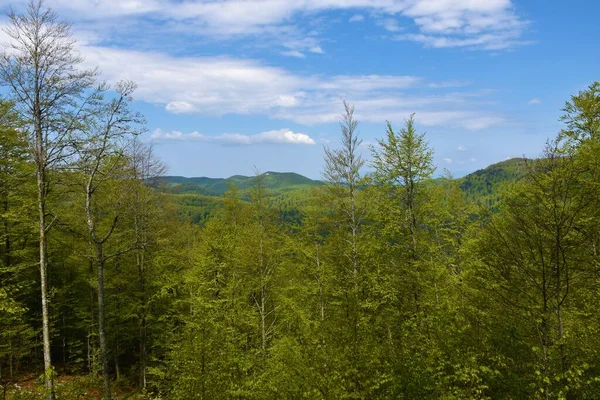 Pohled Kopce Náhorní Plošině Sneznik Dinárských Alpách Notranjska Slovinsko — Stock fotografie