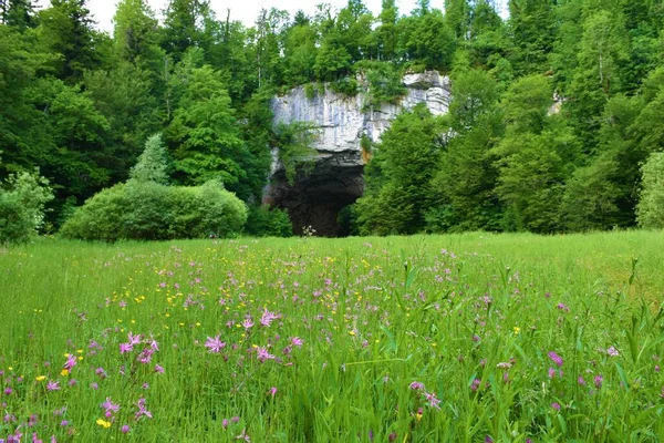 Gran Puente Natural Rakov Skocjan Notranjska Eslovenia Prado Con Flores — Foto de Stock