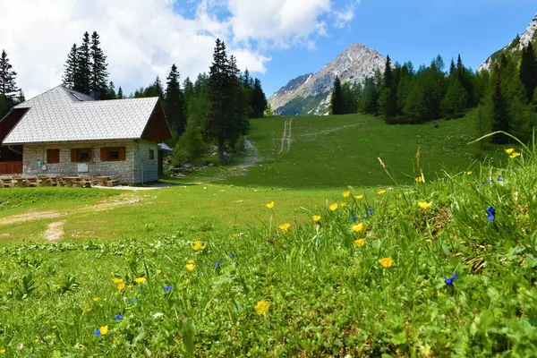 Mountain Hut Zelenica Karavanke Mountains Peak Vrtaca Meadoww Yellow Flowers — Stock Photo, Image