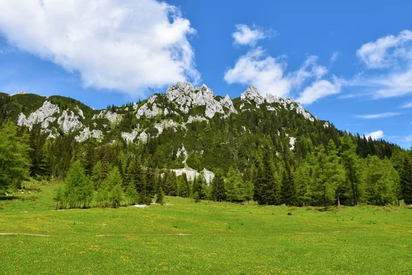 Montanhas Acima Prado Zelenica Nas Montanhas Karavanke Eslovénia — Fotografia de Stock