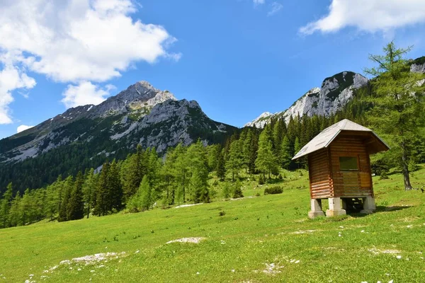 Uitzicht Bergtop Van Vrtaca Boven Zelenica Het Karavanke Gebergte Slovenië — Stockfoto