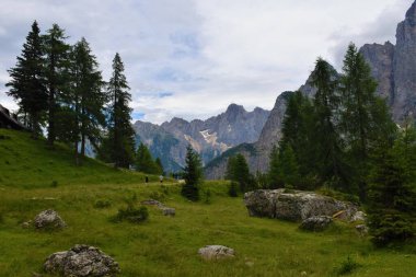 Julian Alplerindeki Gorenjska, Slovenya ve Spik dağlarındaki Vrsiç 'te çayır