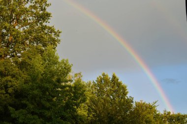 Gökyüzünde gökkuşağı, bir sonraki ağaç gölgesinde.