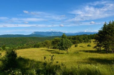 Notranjska, Slovenya 'nın çayırları, ormanları ve Nanos platosuyla manzarası