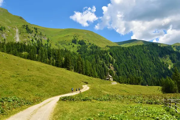 Montagne Dell Alto Taurno Austria Una Strada Attraverso Pascolo Alpino — Foto Stock