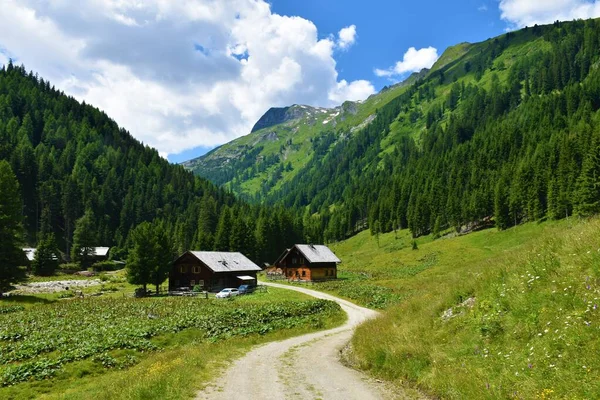 Pascolo Alpino Con Logge Legno Nella Valle Muritzen Ankogelgruppe Alto — Foto Stock