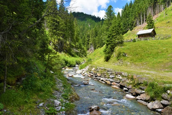 Mur Stream Hintermuhr Στην Αυστρία — Φωτογραφία Αρχείου