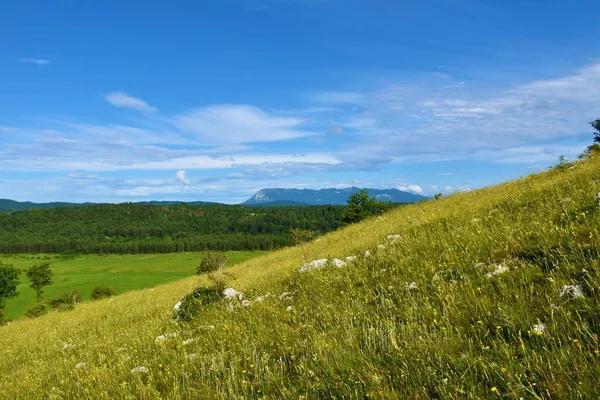 Uitzicht Het Nanos Plateau Notranjska Slovenië — Stockfoto